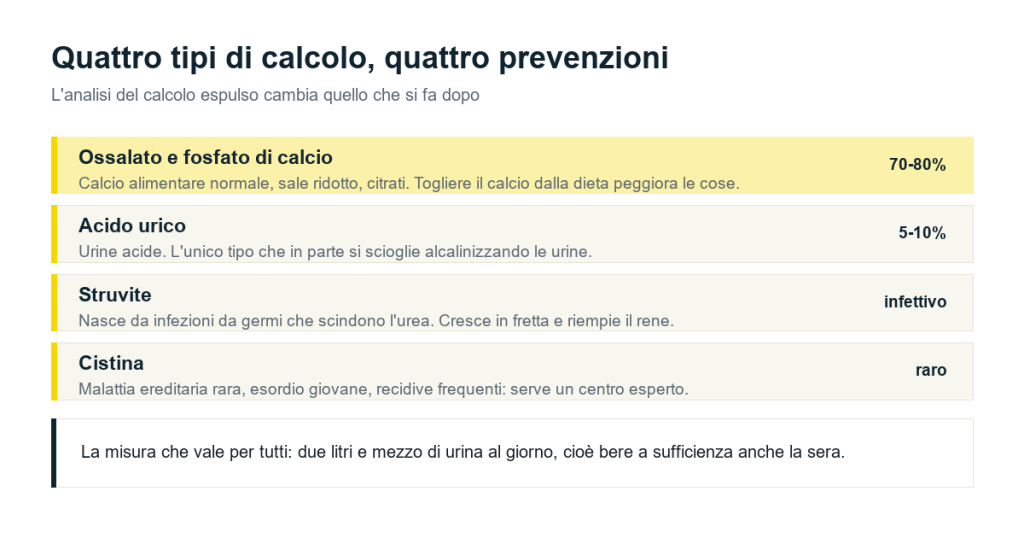 Calcoli di ossalato e fosfato di calcio, di acido urico, di struvite e di cistina con la prevenzione di ciascuno