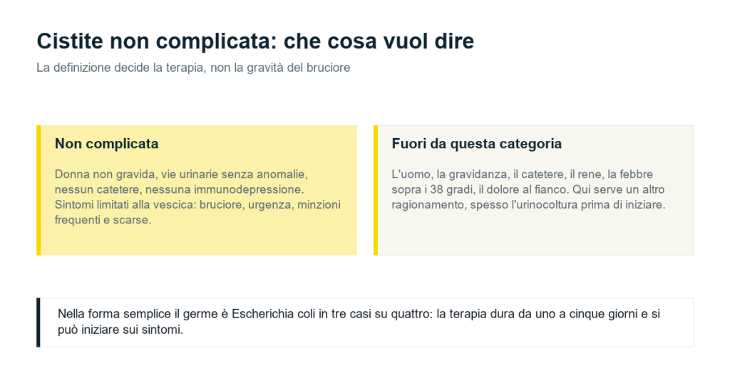 Che cosa rientra nella cistite non complicata e che cosa ne resta fuori: uomo, gravidanza, catetere, rene, febbre e dolore al fianco