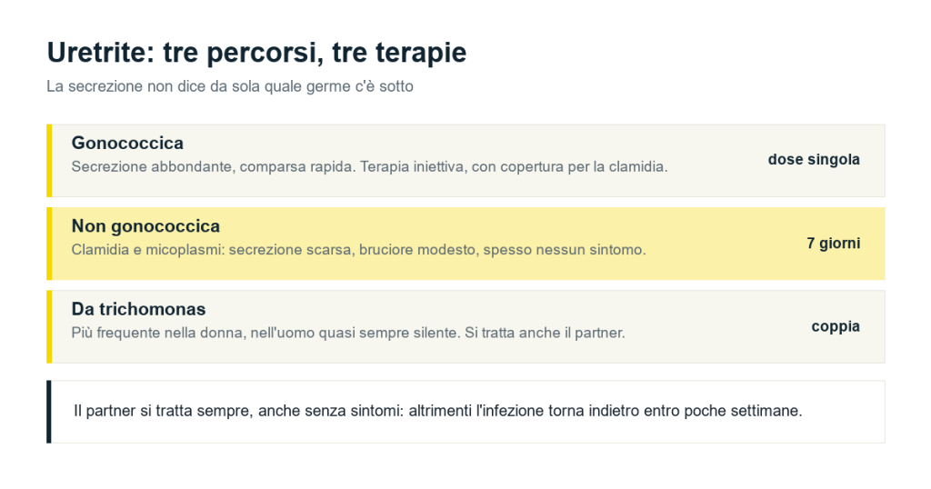 Uretrite gonococcica, non gonococcica da clamidia e micoplasmi, e da trichomonas: terapie e durata